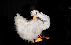 Photo du spectacle 2